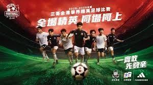 国际足联世界杯票务混乱引发球迷不满